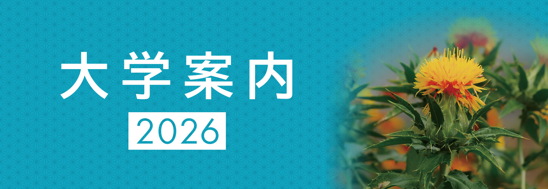 大学案内